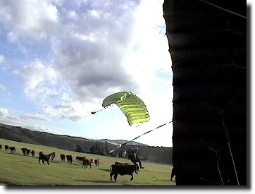 Running with the bulls