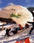 Para-Ski Nationals