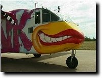 Pink Skyvan