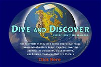 Dive and Discover