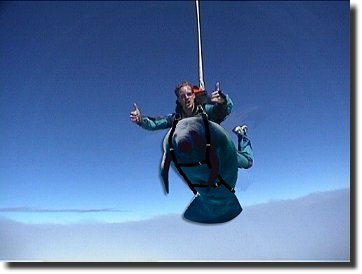 Flippers in the Air